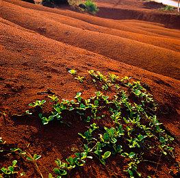 大宇资讯已获《咒》授权 开发改编游戏